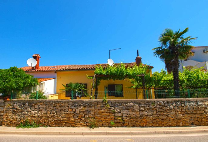 Bild 12