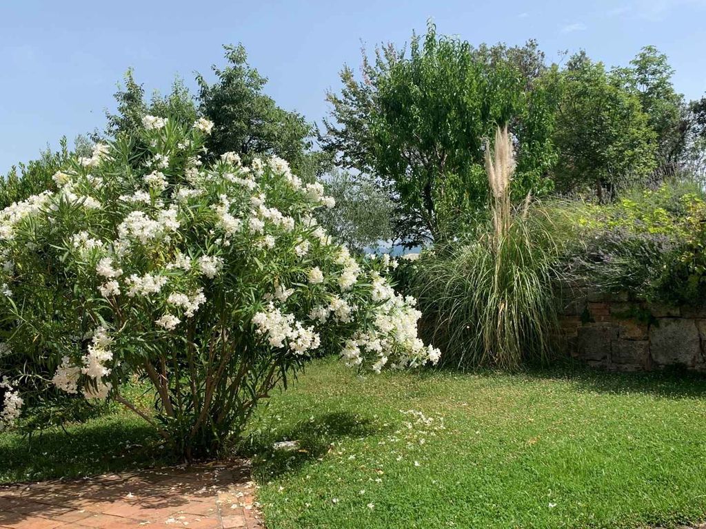 Villa mit Pool und Dependance