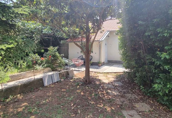 Bild 14
