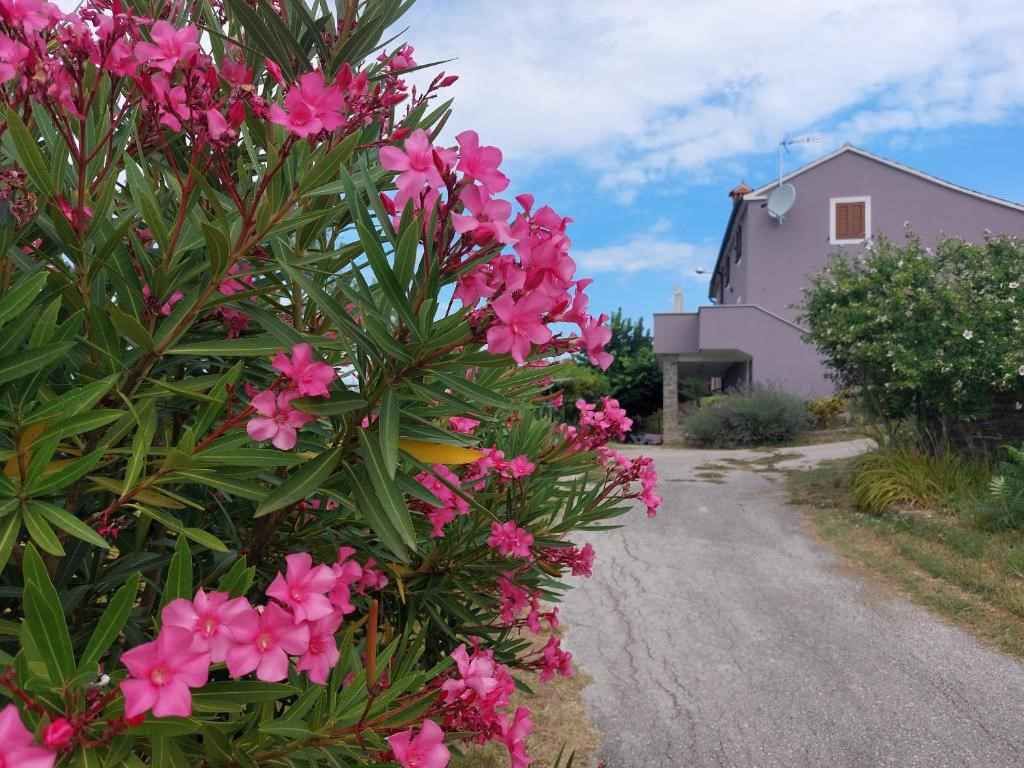 Ferienwohnung mit Balkon und Panoramablick