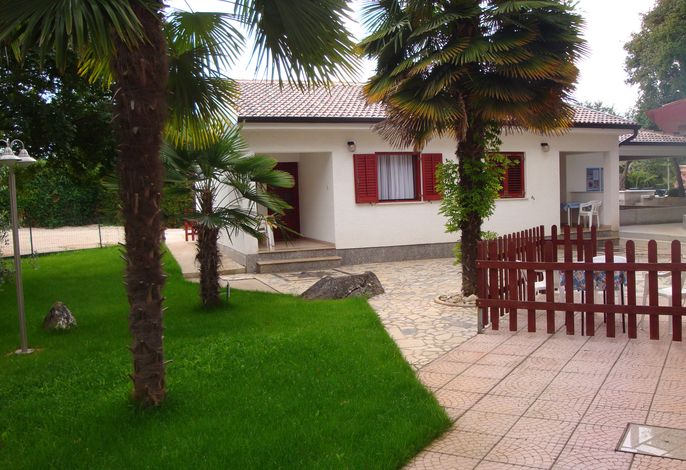 Bild 12