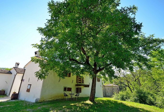 Bild 15