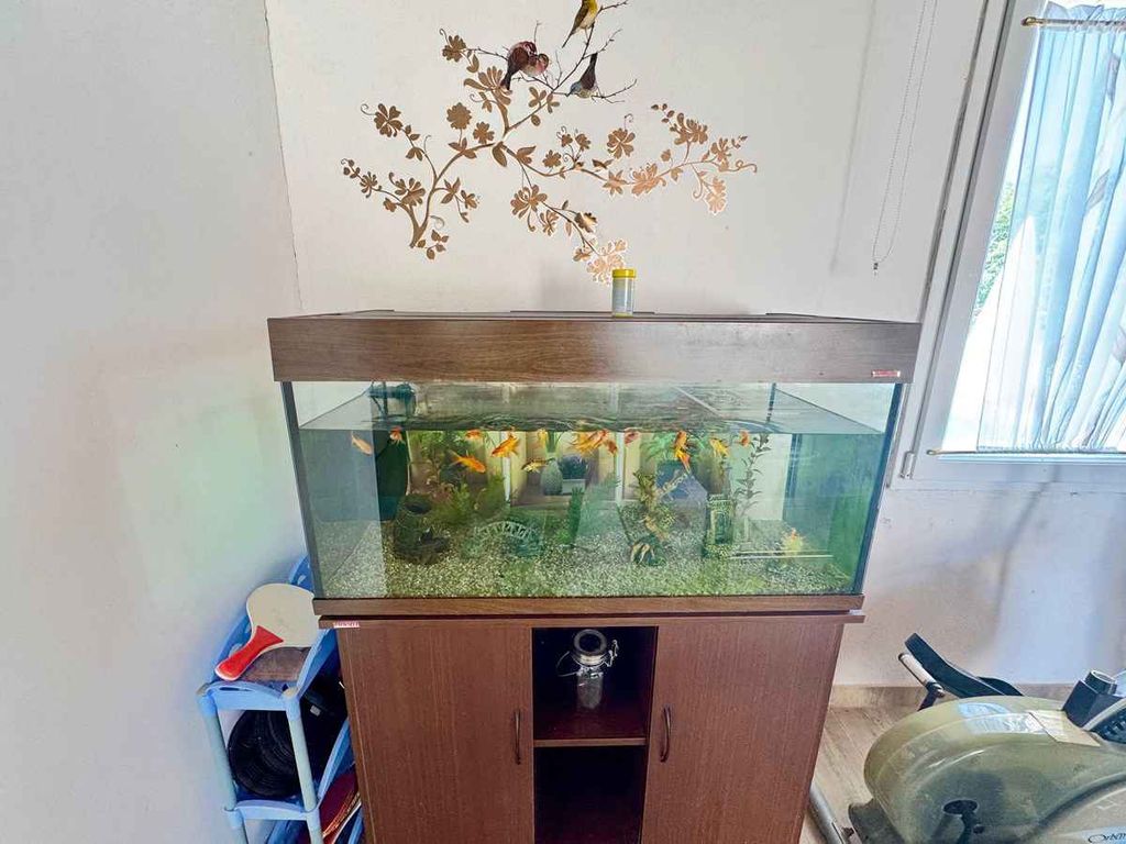 Ferienwohnung mit Außenpool und Terrasse