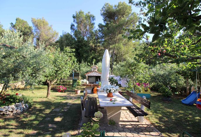 Bild 12
