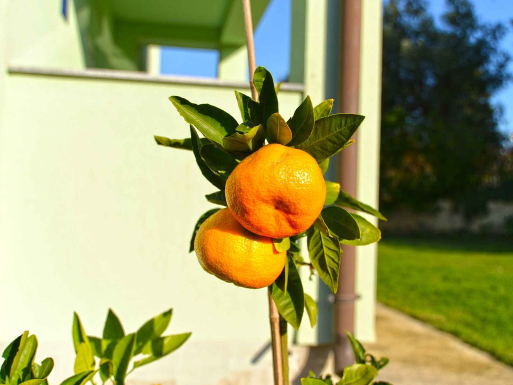 Ferienwohnung mit Klimaanlage