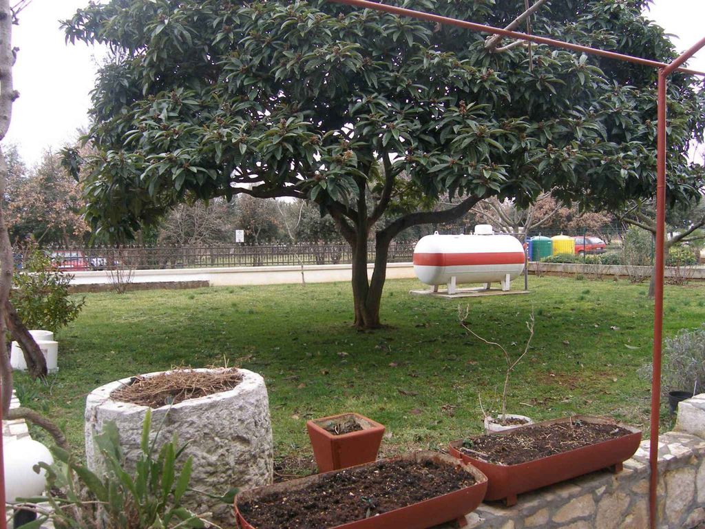 Ferienwohnung mit SAT-TV und Terrasse