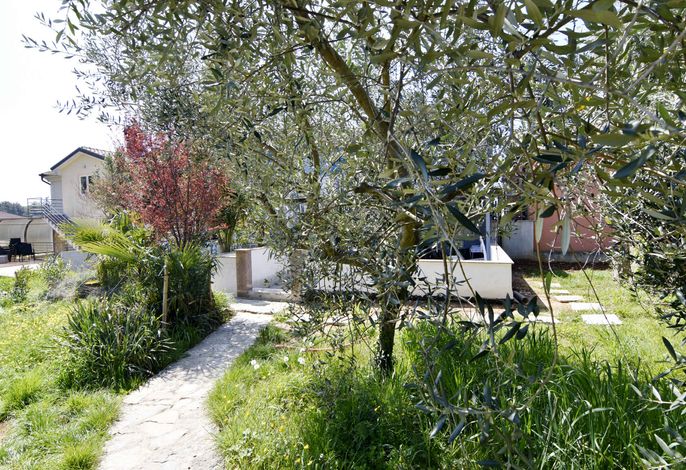 Bild 14
