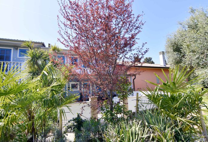Bild 12