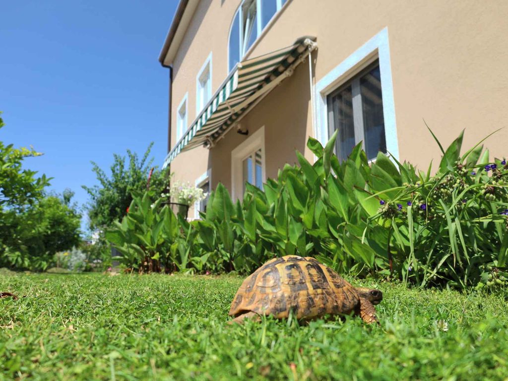 Ferienwohnung mit Internet, Klimaanlage, Terrasse und Garten in ruhiger Lage