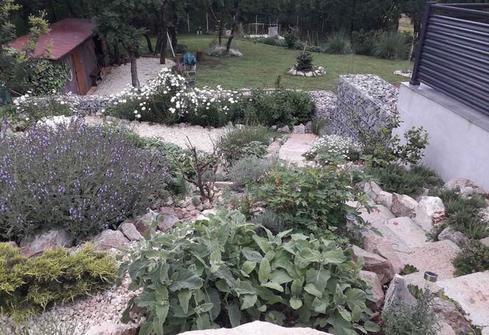 Bild 9