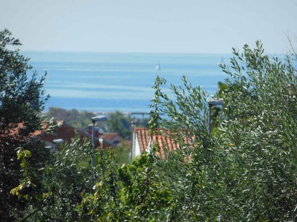 Ferienwohnung mit Meerblick und Klimaanlage