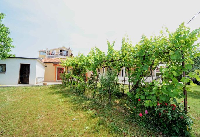 Bild 13