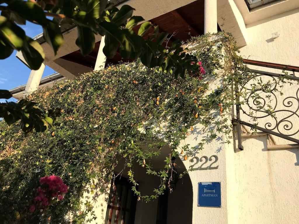 Ferienwohnung mi Balkon