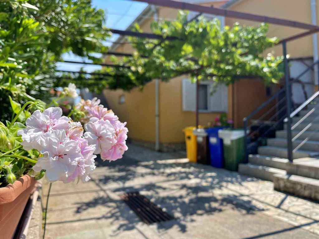 Ferienwohnung