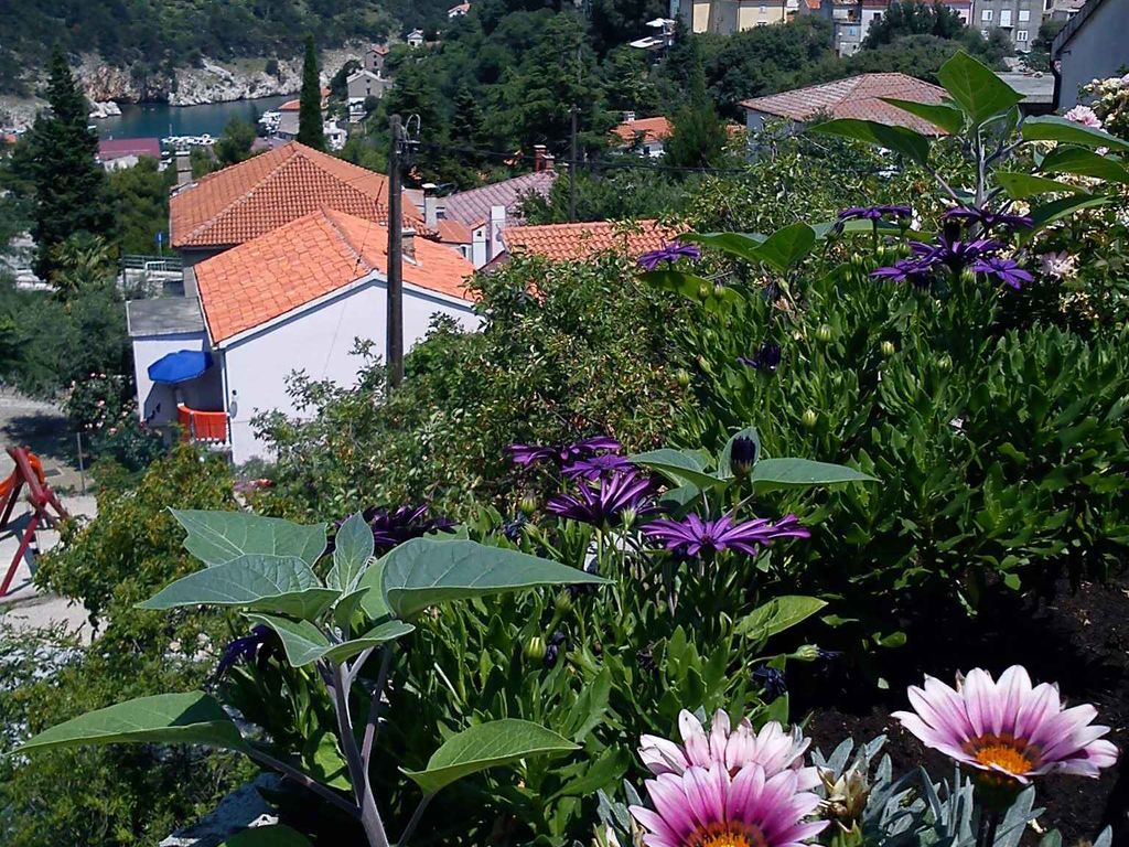 Ferienwohnung mit Blick auf das Meer und Altstadt Vrbnik
