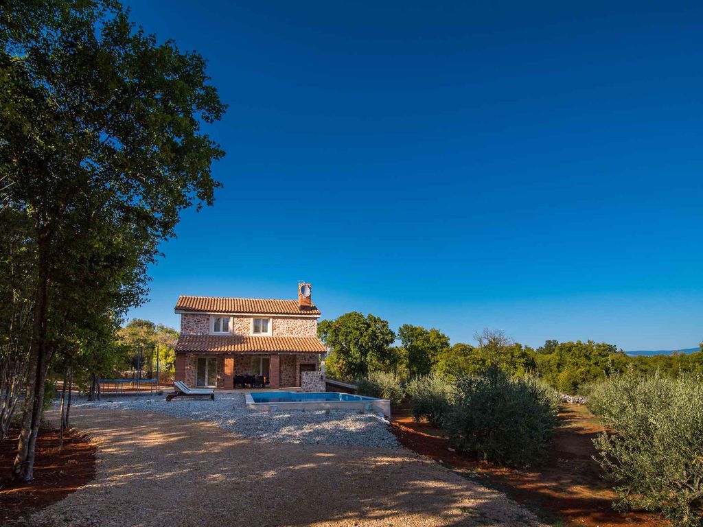 Ferienhaus mit Pool und Billiard