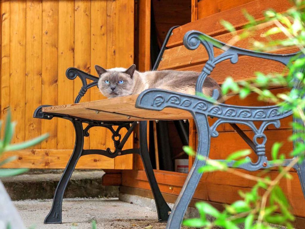 Ferienwohnung mit Terrasse