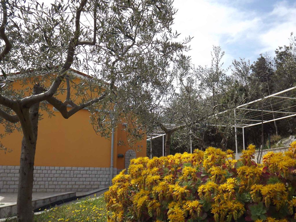 Ferienwohnung mit Meerblick und Grillmöglichkeit