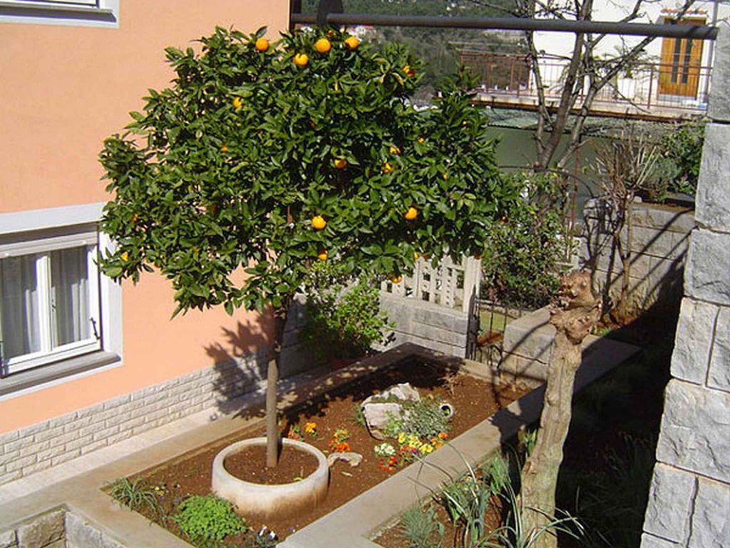 Ferienwohnung mit Terrasse und Klimaanlage