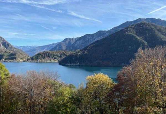 Bild 50