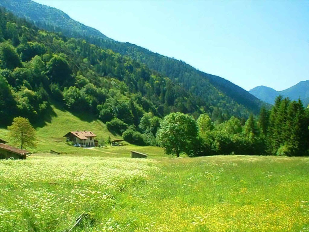 Berghütte mit 20.000 Quadratmetern Land