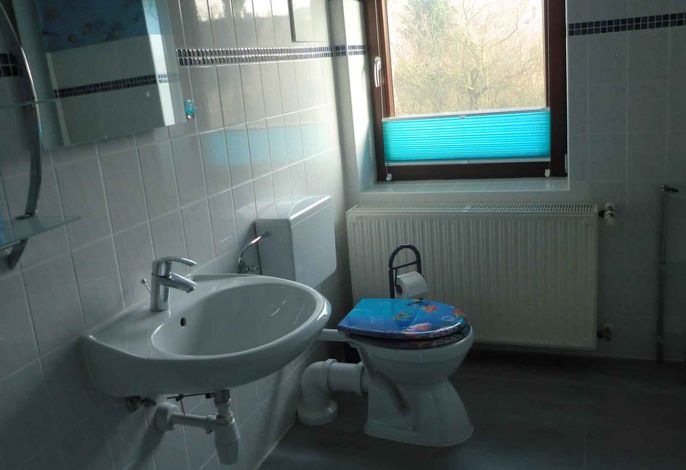 Bild 15