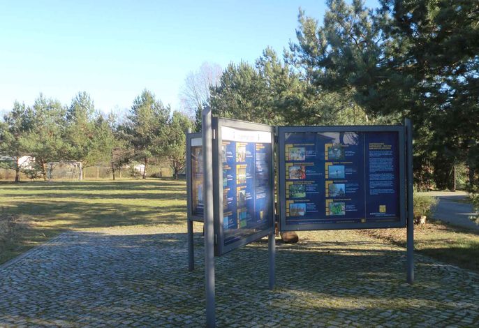 Bild 19