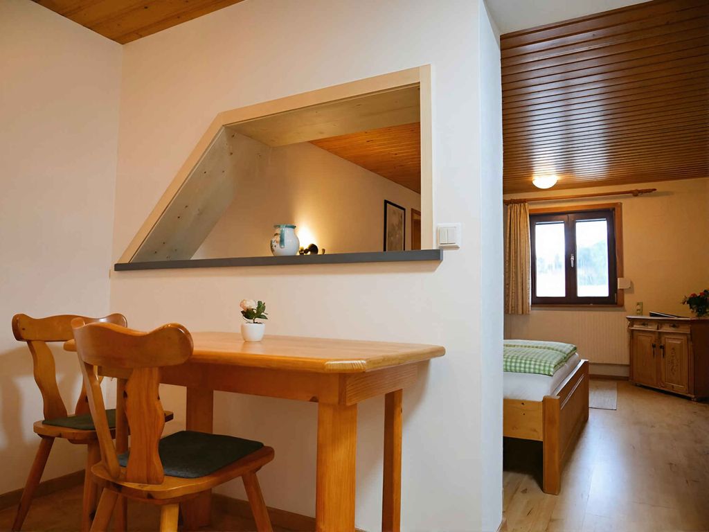 Studio mit Balkon und Internet