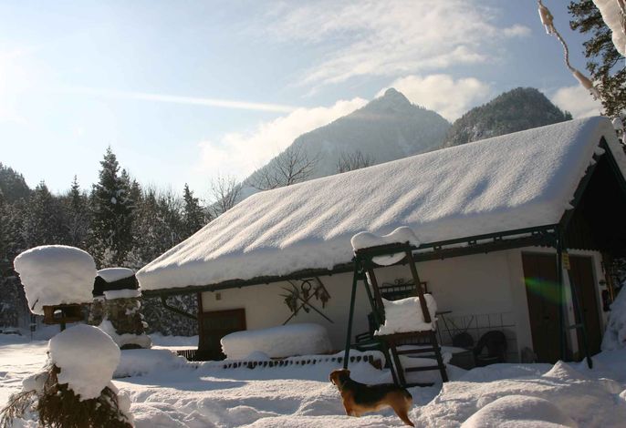 Bild 23