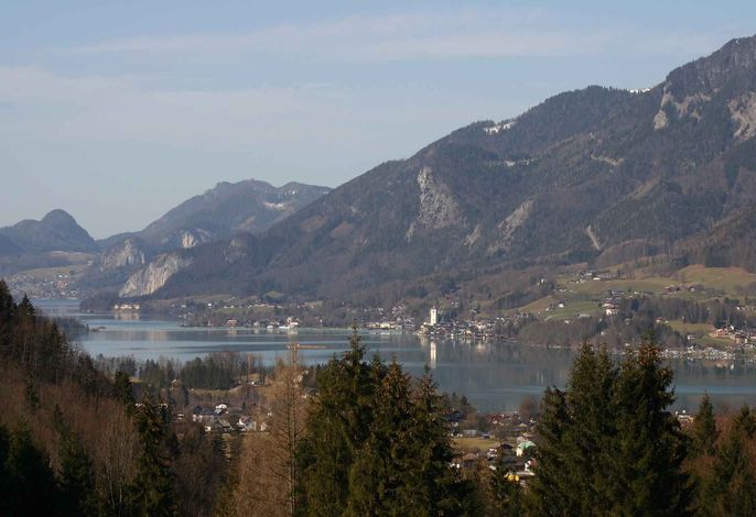 Bild 16
