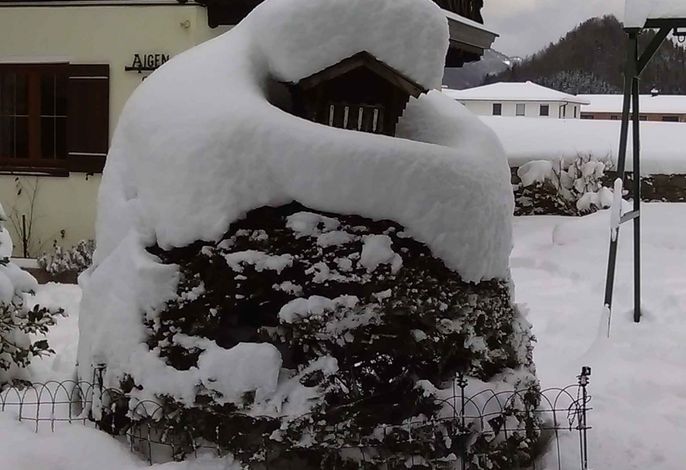 Bild 20