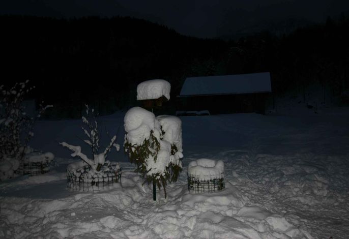 Bild 24
