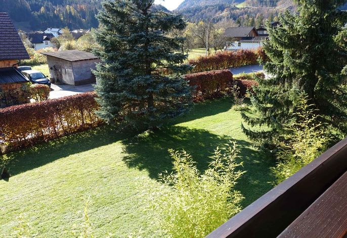Bild 7