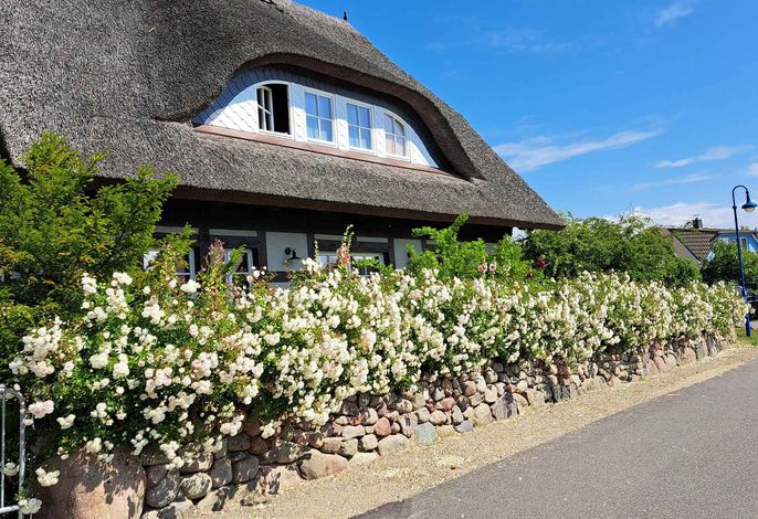 Photo Ferienhaus mit Garten 2