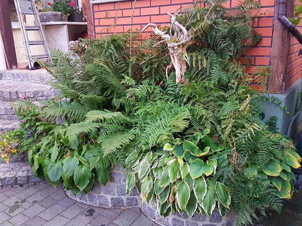 Ferienhaus mit Garten und eigenem Schwimmbad