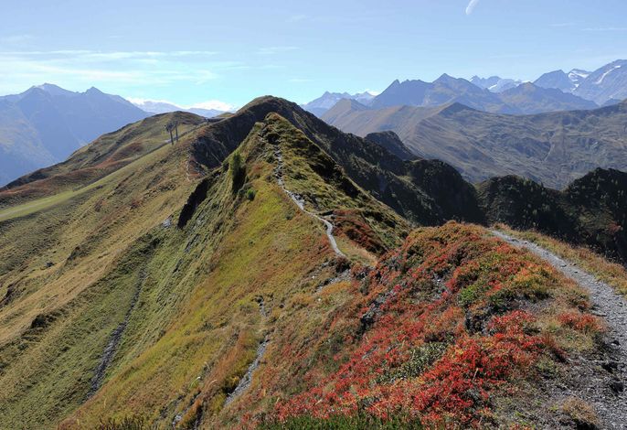 Bild 13