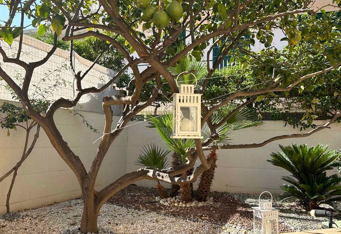 Ferienhaus mit Terrasse und in der Nähe des Meeres