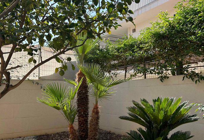 Ferienhaus mit Terrasse und in der Nähe des Meeres – Foto 4