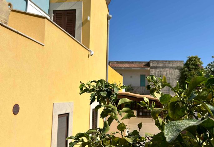 Ferienhaus mit Terrasse und in der Nähe des Meeres – Foto 3
