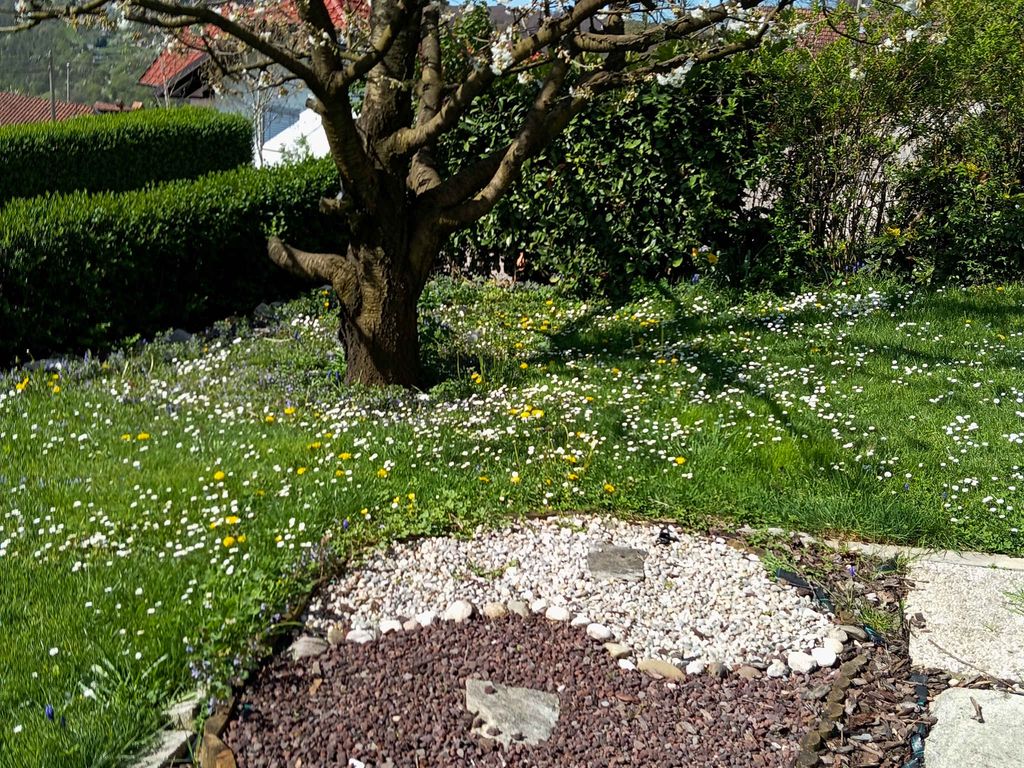 Ferienhaus schöne aussicht