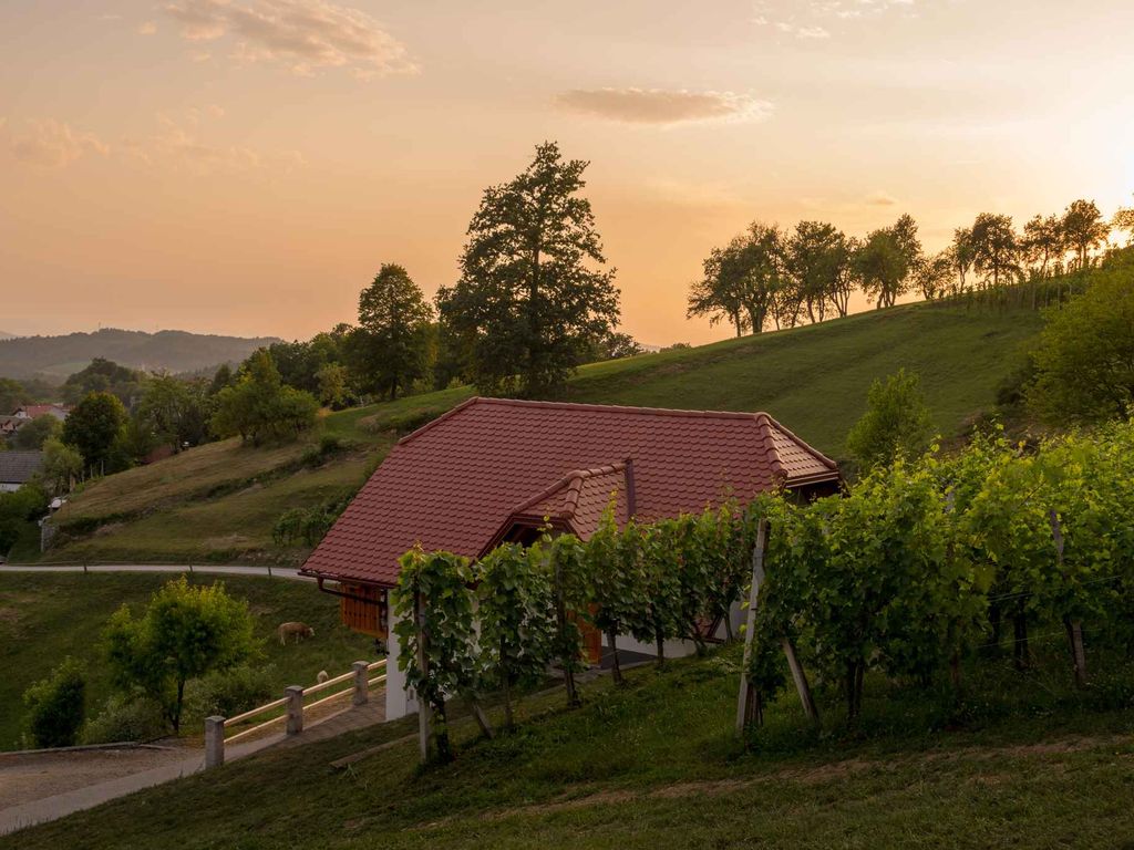 Ferienhaus auf dem Weinberghügel in der Nähe von Trebnje
