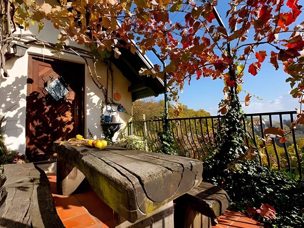 Studio mit herrlichen Blick auf Gorjanci