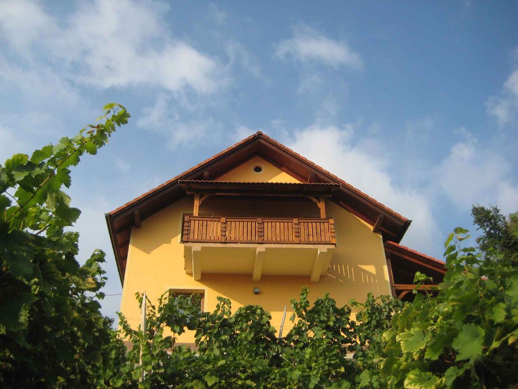 Ferienhaus mitten in den Weinbergen
