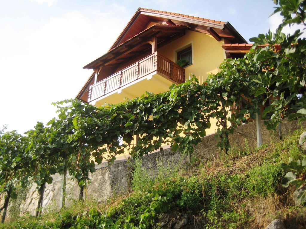 Ferienhaus mitten in den Weinbergen