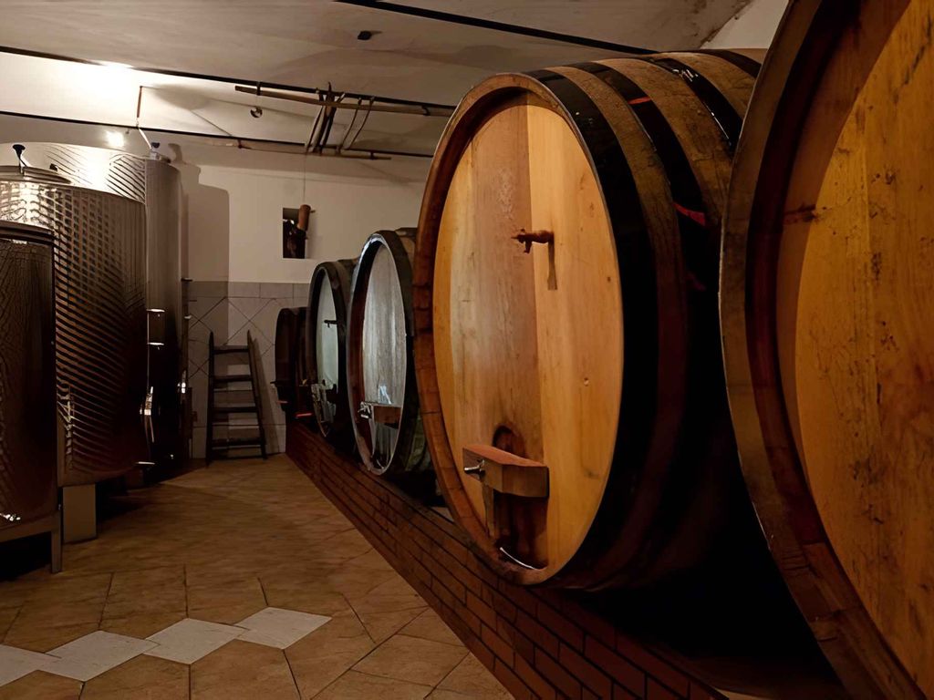 Ferienhaus mitten in den Weinbergen