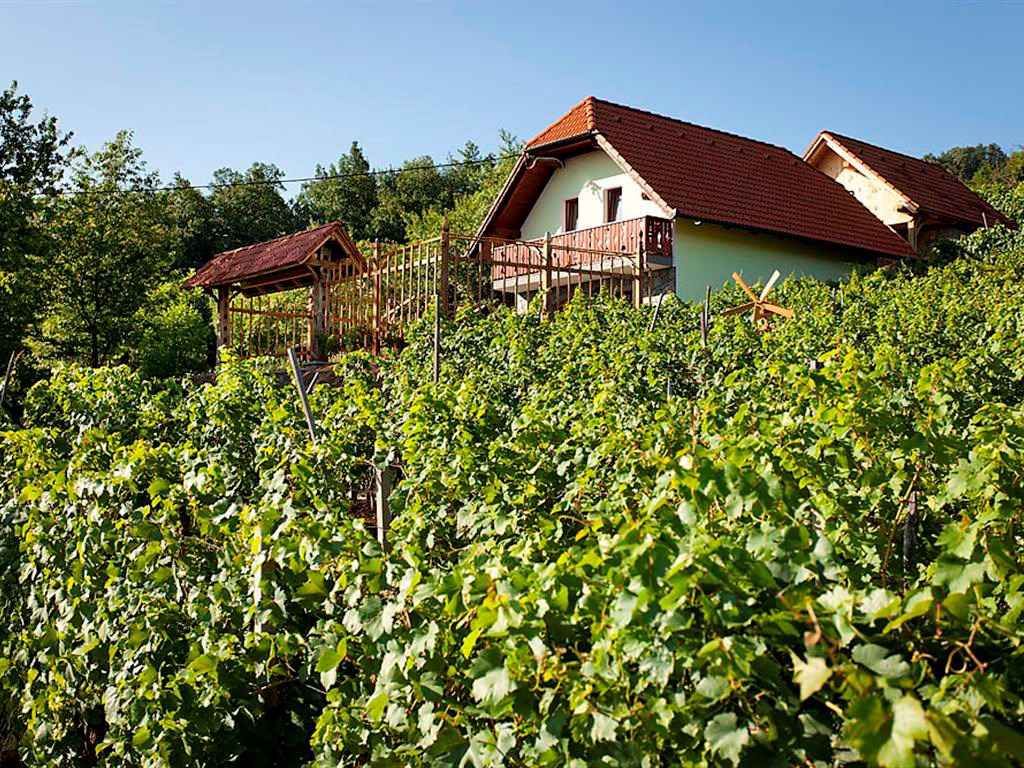 Ferienhaus ist ein charmantes Haus, das in den Weinbergen auf malerischen Hügeln der Region Dolenjska gebaut wurde. In früheren Ze