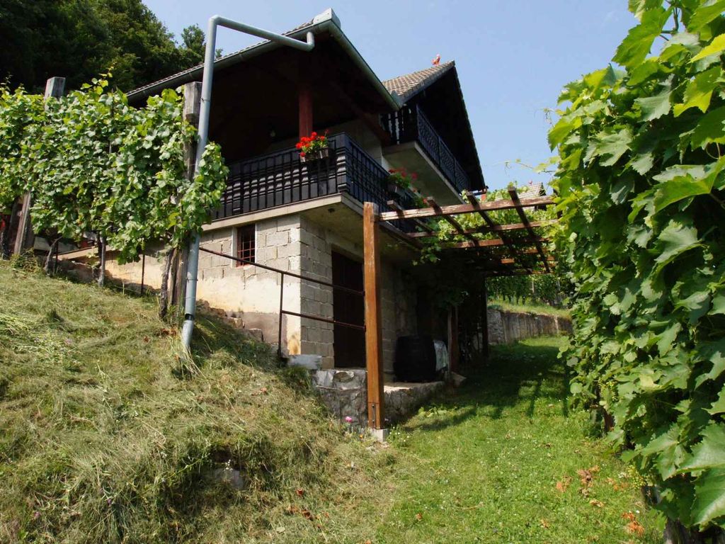 Ferienhaus mit Blakon und Garten