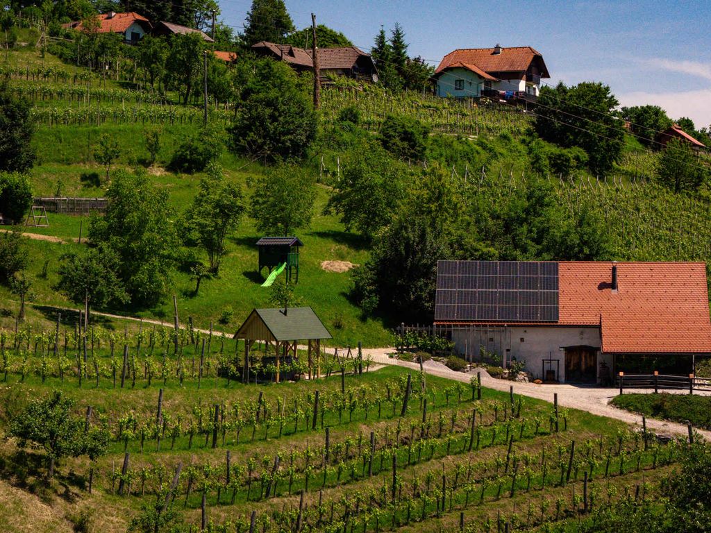 Ferienhaus mit Sauna und Weinkeller