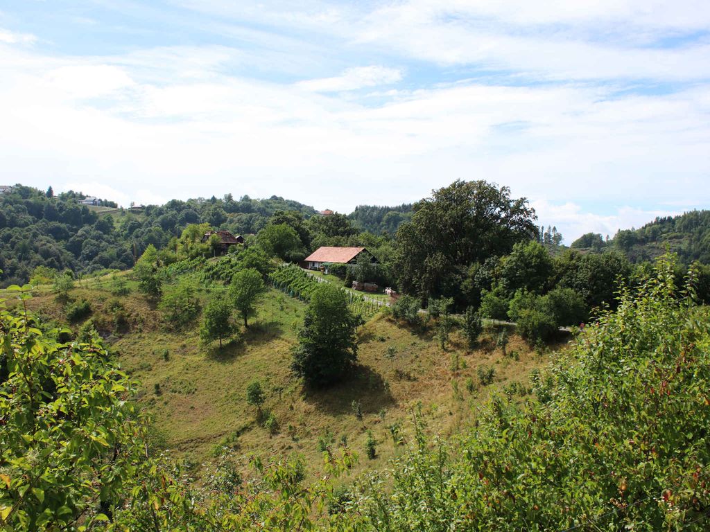 Ferienhaus umgeben von Weinbergen