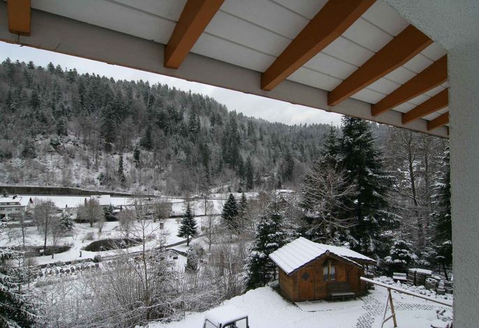Bild 31